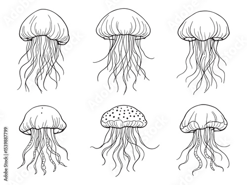 Minimal jellyfish illustration with flowing tentacles design