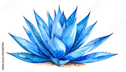 Blue Agave Watercolor Plant.