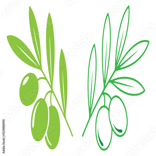 stylized olive branches vector with green leaves and fruits for agriculture culinary botanical design themes