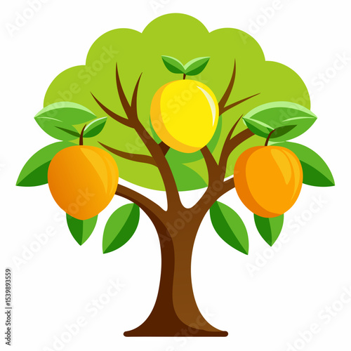 vector illustration of an mango tree
