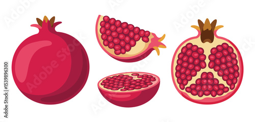 Pomegranate fruit illustration set whole and cut