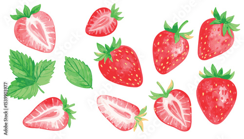Strawberry Vector Set with Transparent Background