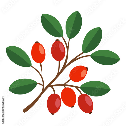 Rosehip branch with red rose hips and green leaves botanical rosehip illustration vector art