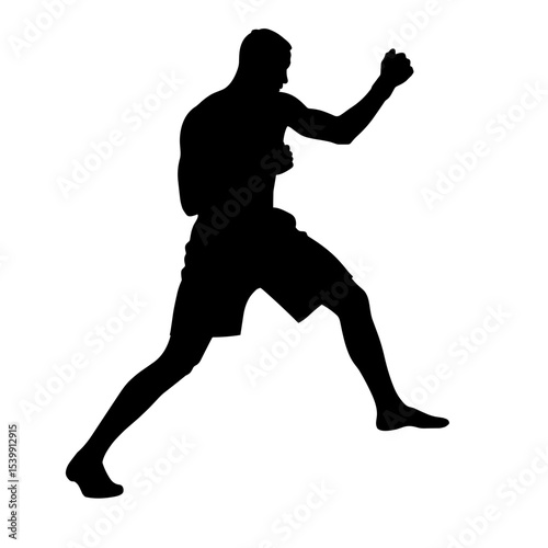Silhouette of a man boxing in an active pose without background  