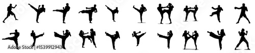 Silhouettes of people practicing martial arts poses without background  