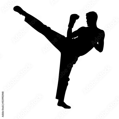 Silhouette of a martial artist performing a high kick without background  