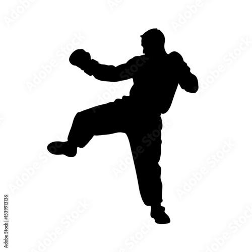 Boxer kicking in silhouette without background  