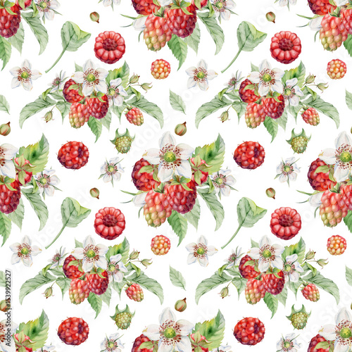 Raspberry mulberry flower buds, leaves, ripe forest garden berries bunch group, hand drawn in watercolor. Isolated seamless pattern. Dessert menu, farmers market grocery, wrapping paper, scrapbooking