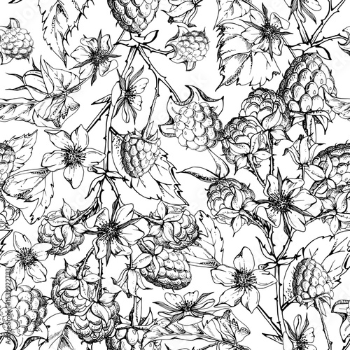 Raspberry berries leaves flowers on thorny spiked branch hand drawn in vector ink. Ripe cloudberry dewberry mulberry. Isolated seamless pattern. Home preserves, grocery store, gardening stationery