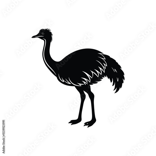 Flat and Minimal Emu bird vector illustration