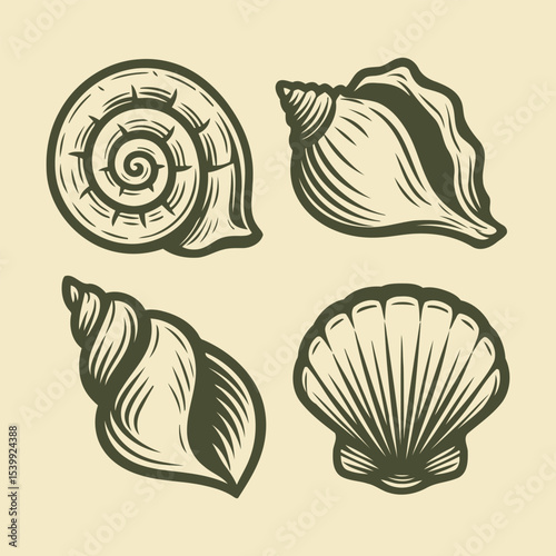 Vintage Linocut Style Sea Shell Illustration Set
