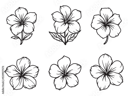 Minimalist Frangipani Flower Outline Drawing Vector Illustration