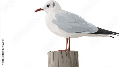 A detailed close-up image of a black-headed gull perched on a weathered wooden post against a pure white background. The gull is shown in profile view, exhibiting its characteristic white plumage,
