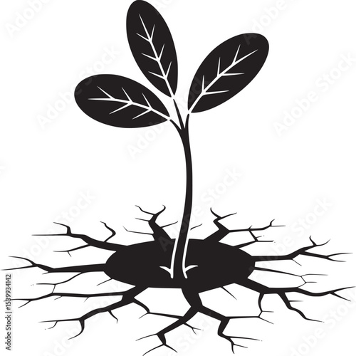 A black silhouette of a plant growing out of cracked earth on a white background illustration