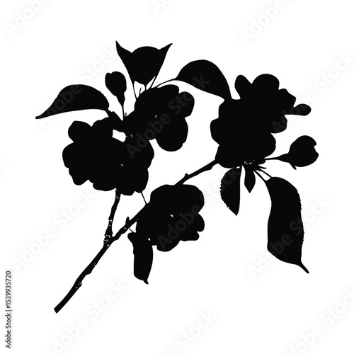 Black Silhouette Apple Blossom Branch Spring Flowers 1