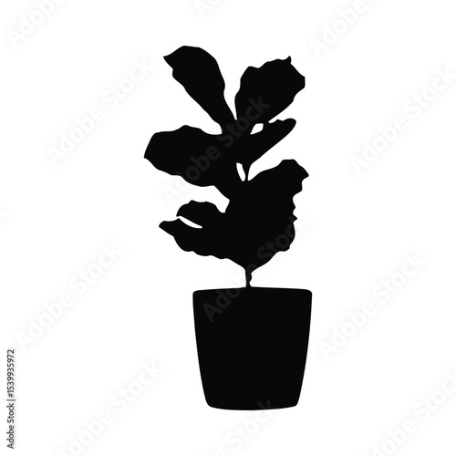 Black Silhouette Fiddle Leaf Fig Plant in Pot image 2
