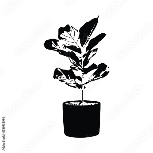 Black and White Fiddle Leaf Fig Plant in Pot Silhouette 1