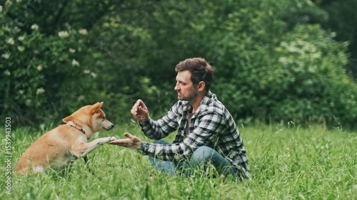 young man in plaid shirt playing training petting hugging and kissing his dog during summer park walk happy loving companionship concept lifestyle

