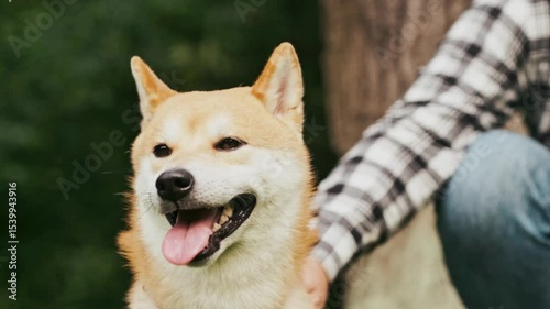 young man in plaid shirt playing training petting hugging and kissing his dog during summer park walk happy loving companionship concept lifestyle
