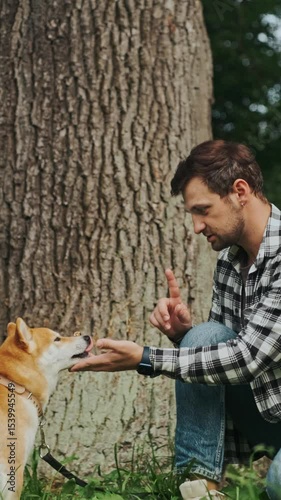 young man in plaid shirt playing training petting hugging and kissing his dog during summer park walk happy loving companionship concept lifestyle

