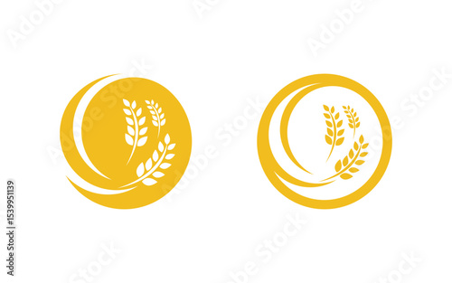 Farm Agriculture wheat rice vector illustration design v.13