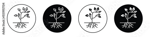Tree with roots and leaves icon