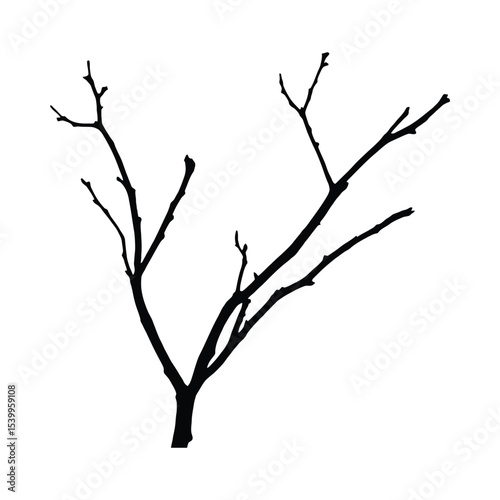 Black Silhouette Bare Branch Winter Tree branches