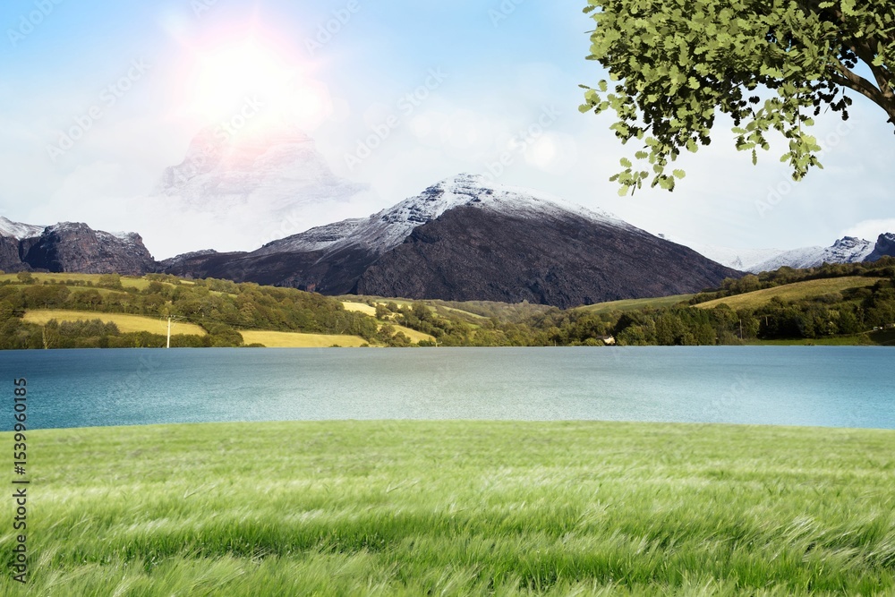 Obraz premium Flat design is showing snow-capped mountain rising over green field, blue lake, sunlit tree branch