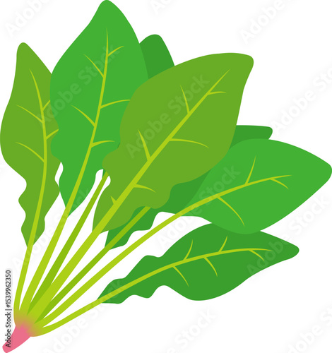 ほうれん草のアイコン