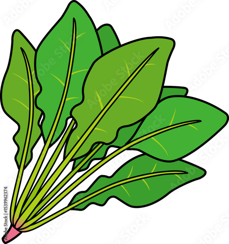 ほうれん草のアイコン