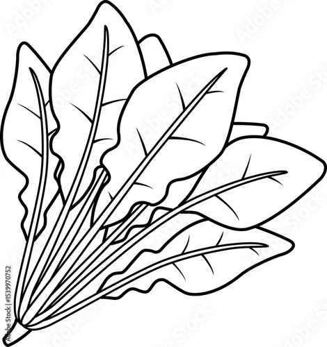 ほうれん草