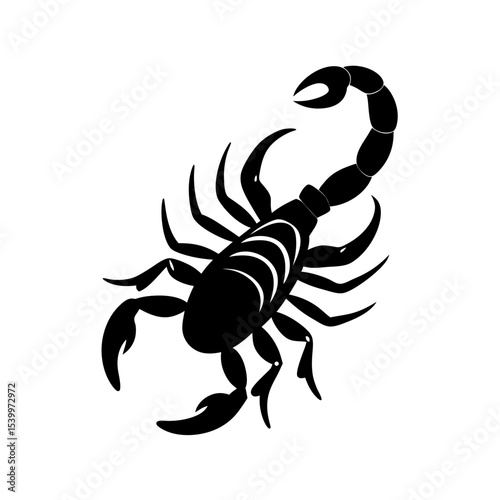 full body silhouette of scorpion with raised tail .svg