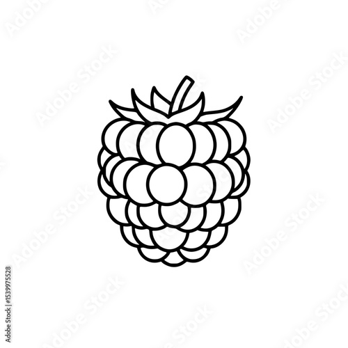 vector illustration of a raspberry