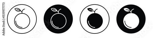 Orange fruit icon