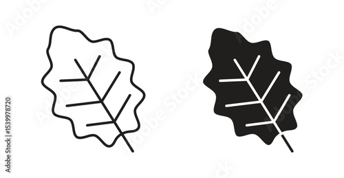 Oak leaf with veins icon