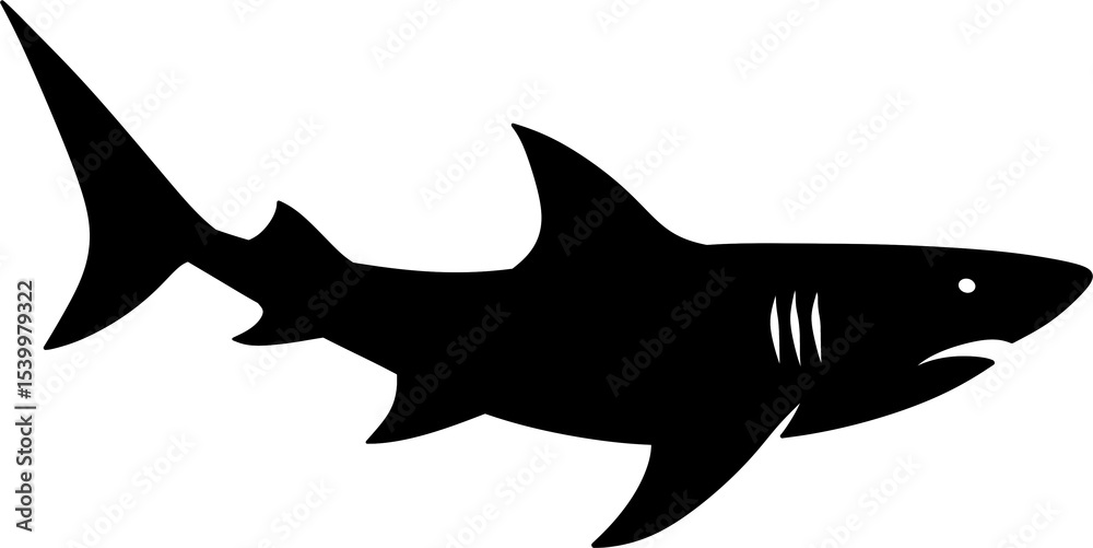 Fototapeta premium shark vector illustration