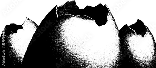 High contrast black and white cracked eggshell abstract art