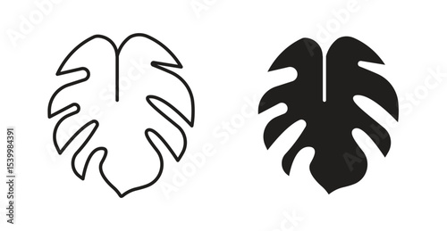Monstera deliciosa plant leaf icon