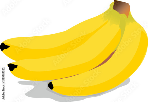 Vector illustration of ripe banana fruit