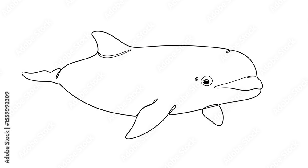 Obraz premium A simple, detailed outline drawing of a dolphin, showcasing its form and features.