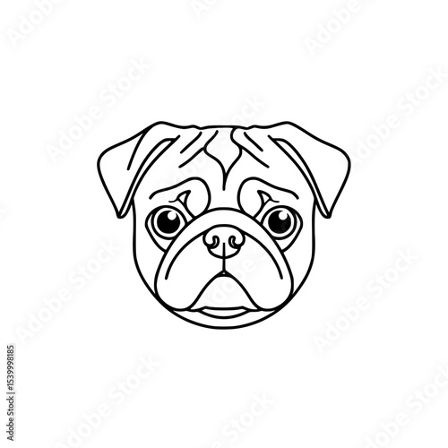the pug