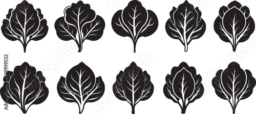 set of spinach silhouette, black and white silhouette, vector and illustration