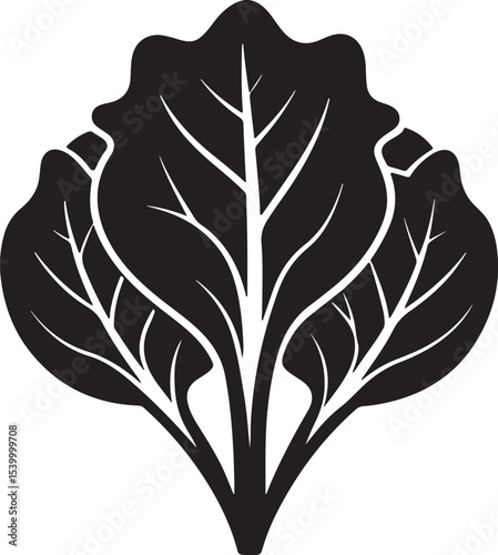spinach silhouette, black and white silhouette, vector and illustration