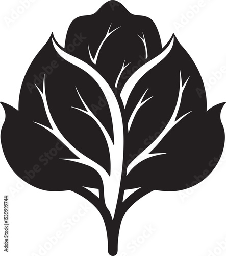 spinach silhouette, black and white silhouette, vector and illustration