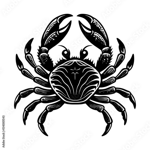 Detailed black and white crab illustration for seafood lovers and marine life enthusiasts design art