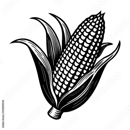 Illustration of ripe corn on the cob vector graphic, sweet corn, maize, agriculture, and harvest season