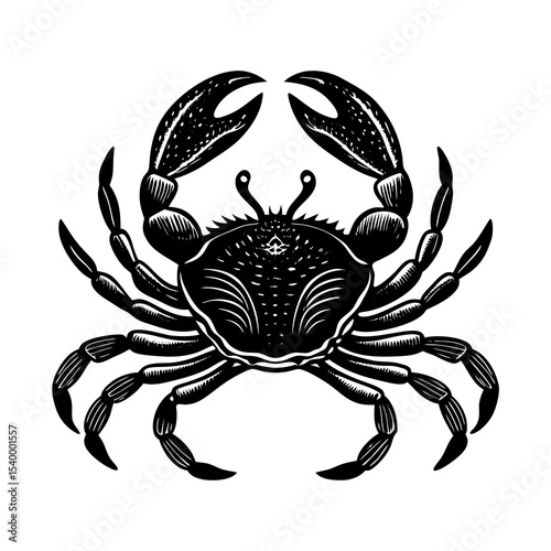 Detailed crab illustration vector, seafood animal drawing, crustacean marine life design element
