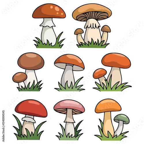 Forest mushrooms edible set vector isolated white background