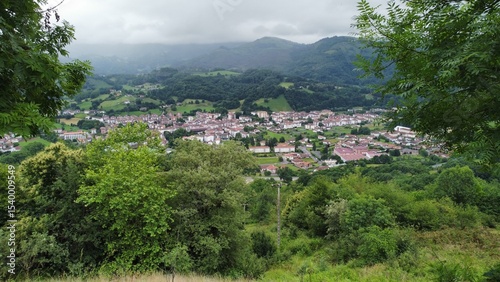 mountain landscape with trees