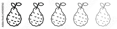 bergamot icon isolated vector on white background set